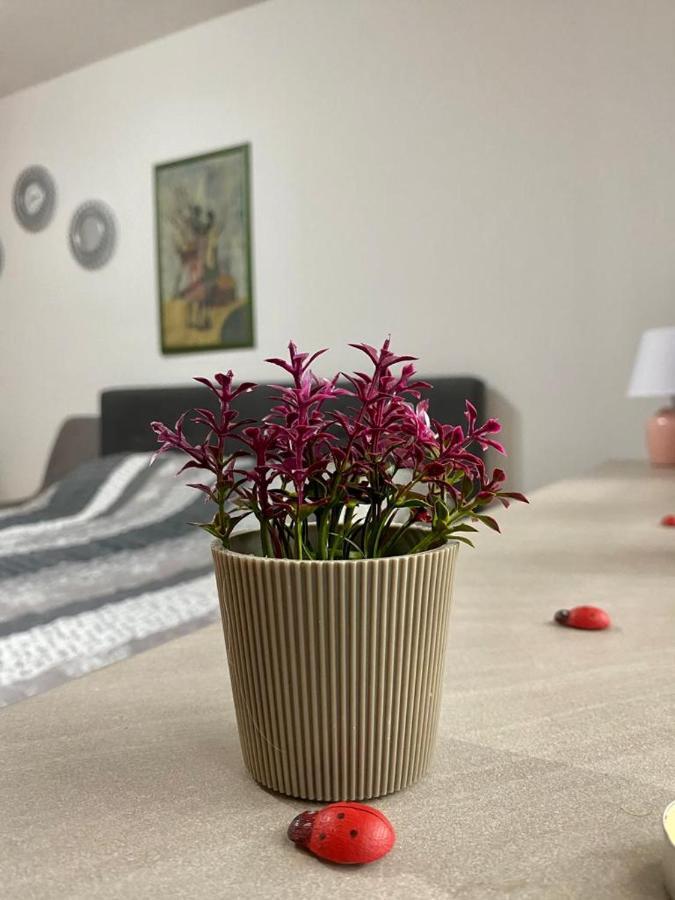Cozy Apartment Ladybug, Sarajewo Zewnętrze zdjęcie
